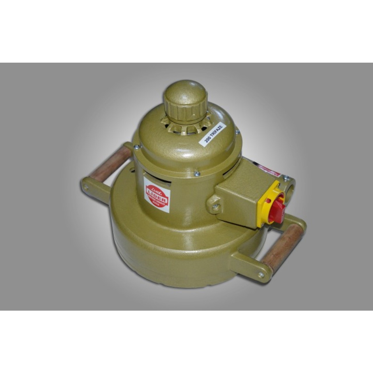 TEPSİ ZIMPARA MOTORU 200MM TRİFAZE